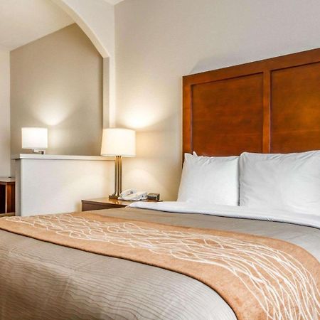 Comfort Inn & Suites Oakland Airport エクステリア 写真