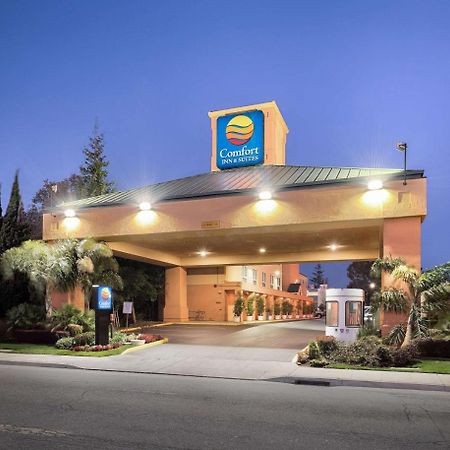 Comfort Inn & Suites Oakland Airport エクステリア 写真