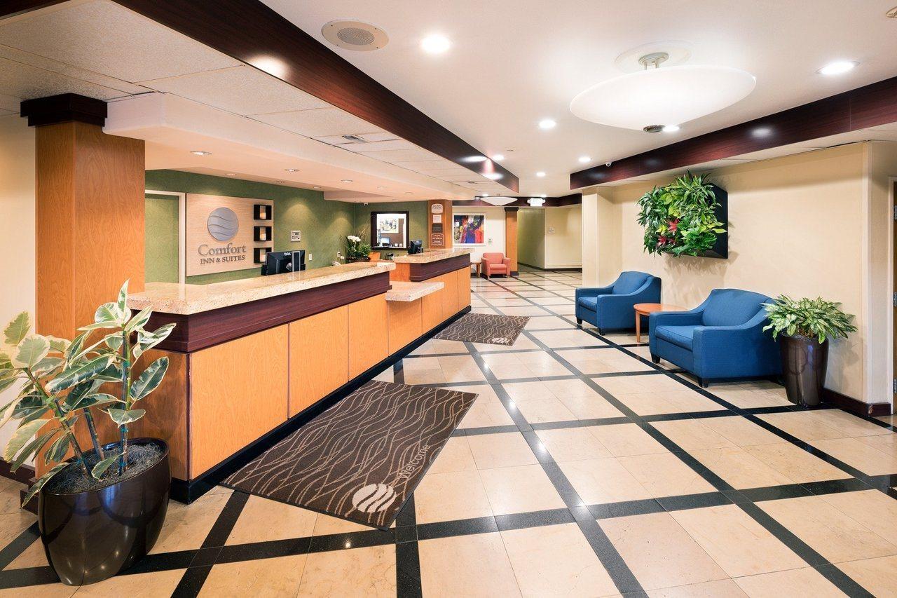 Comfort Inn & Suites Oakland Airport エクステリア 写真