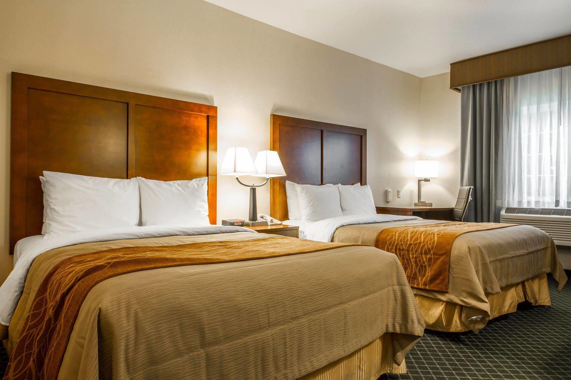 Comfort Inn & Suites Oakland Airport エクステリア 写真