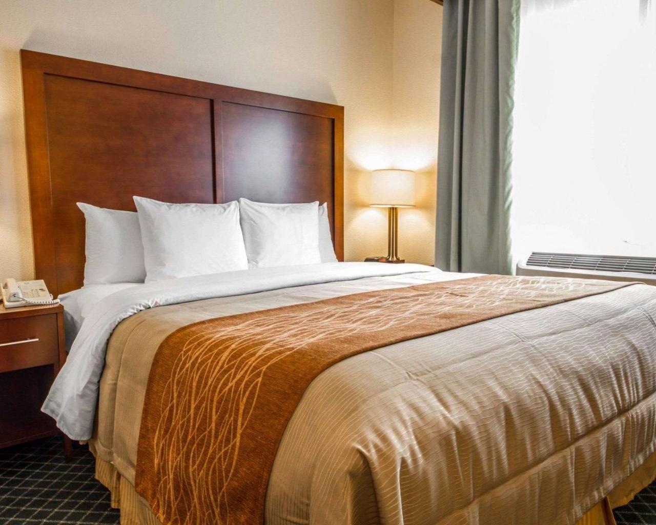 Comfort Inn & Suites Oakland Airport エクステリア 写真