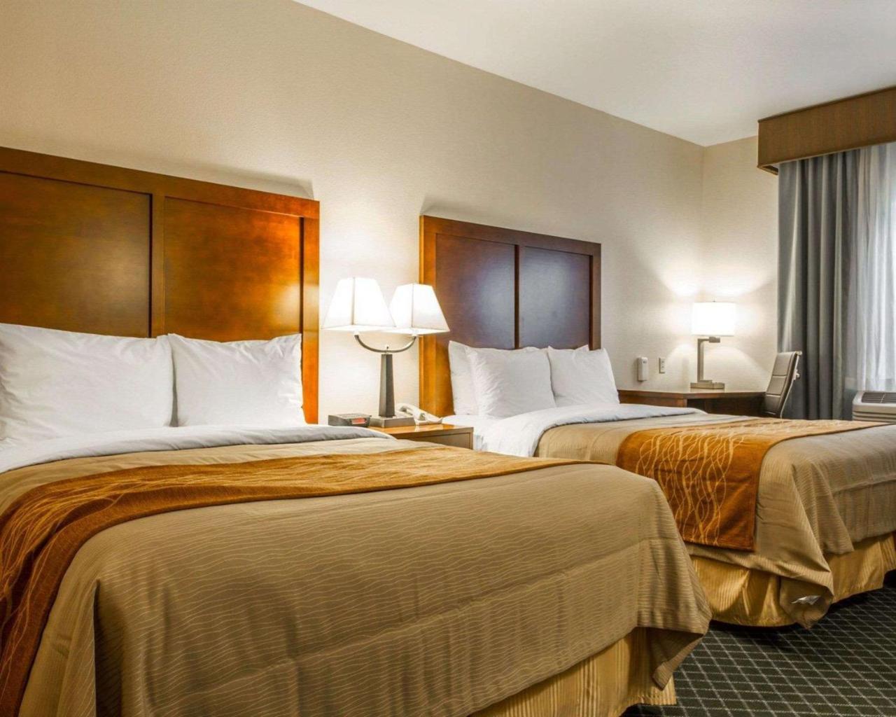 Comfort Inn & Suites Oakland Airport エクステリア 写真