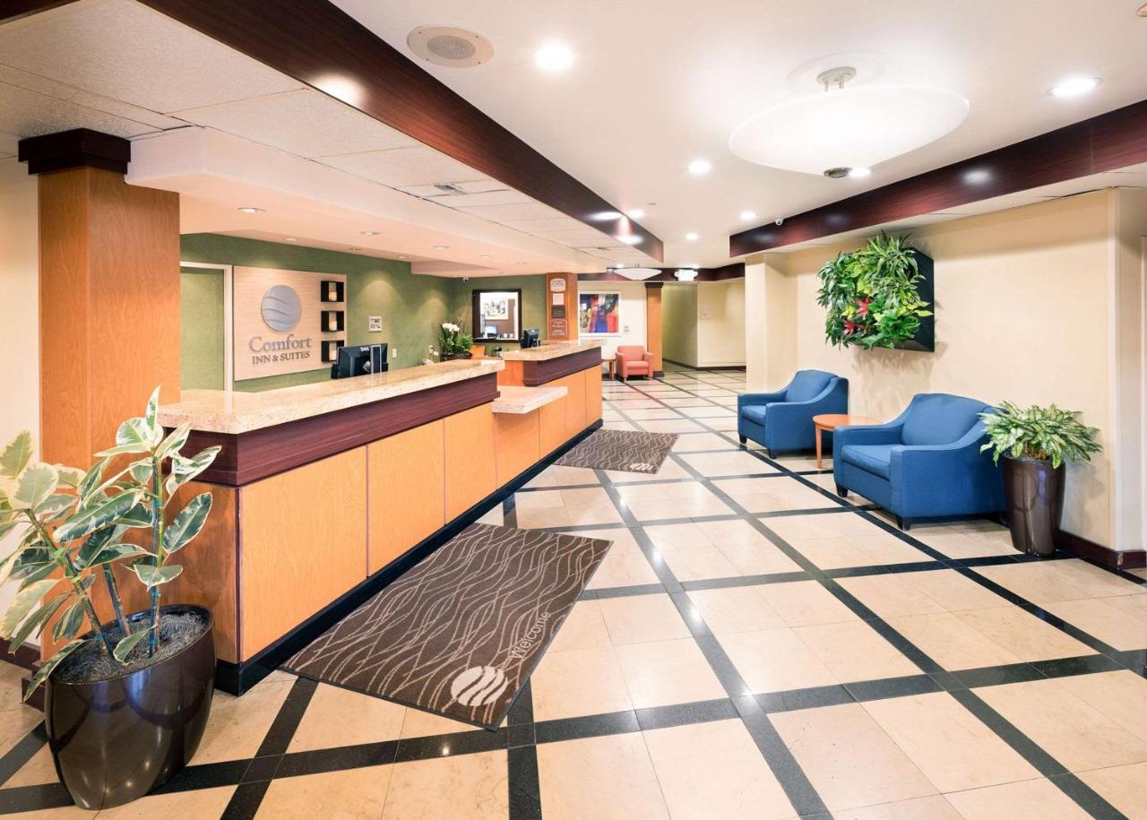Comfort Inn & Suites Oakland Airport エクステリア 写真