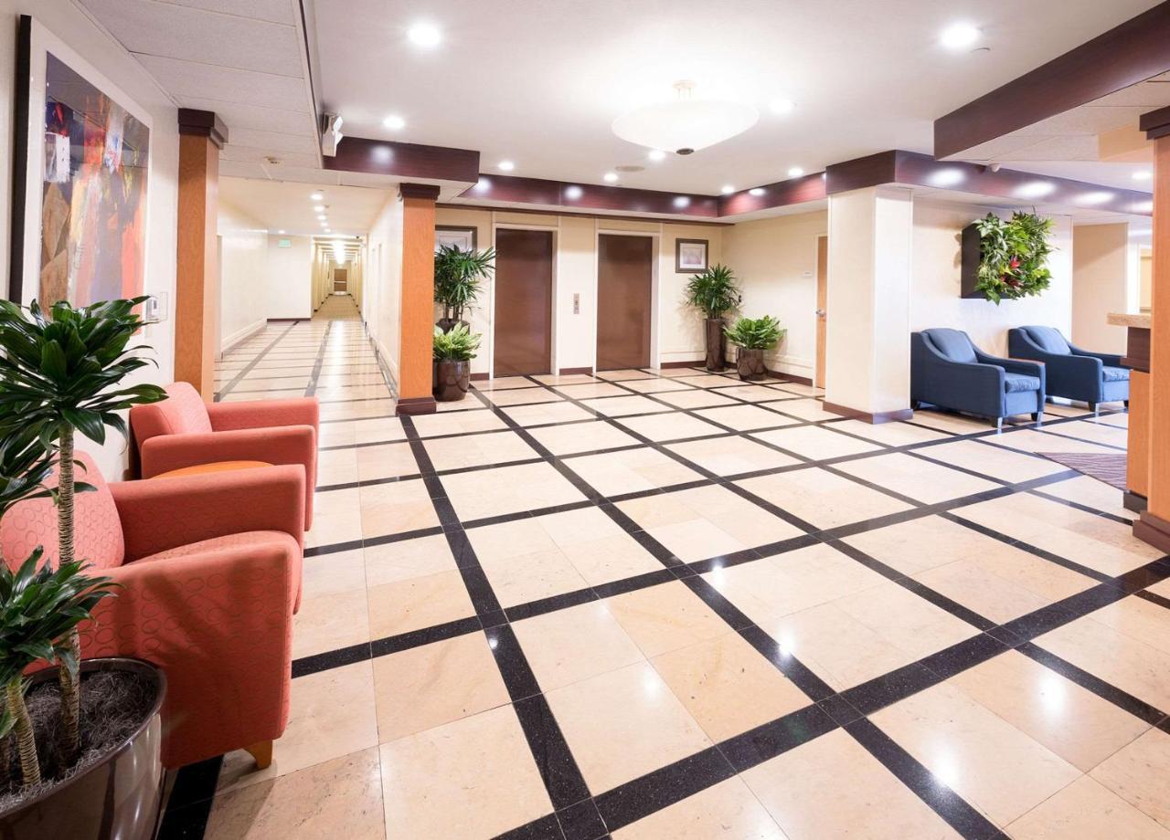 Comfort Inn & Suites Oakland Airport エクステリア 写真
